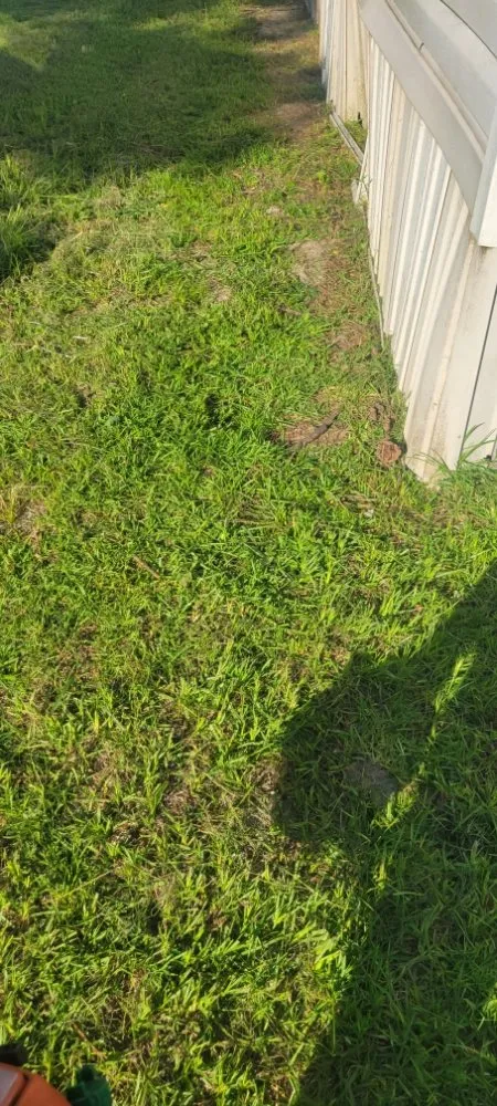 Custom yard maintenance in Florence, SC - Solo's Lawncare Service