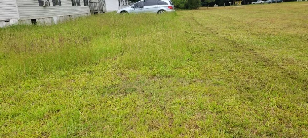 Affordable yard maintenance near you across Florence, SC - Solo's Lawncare Service