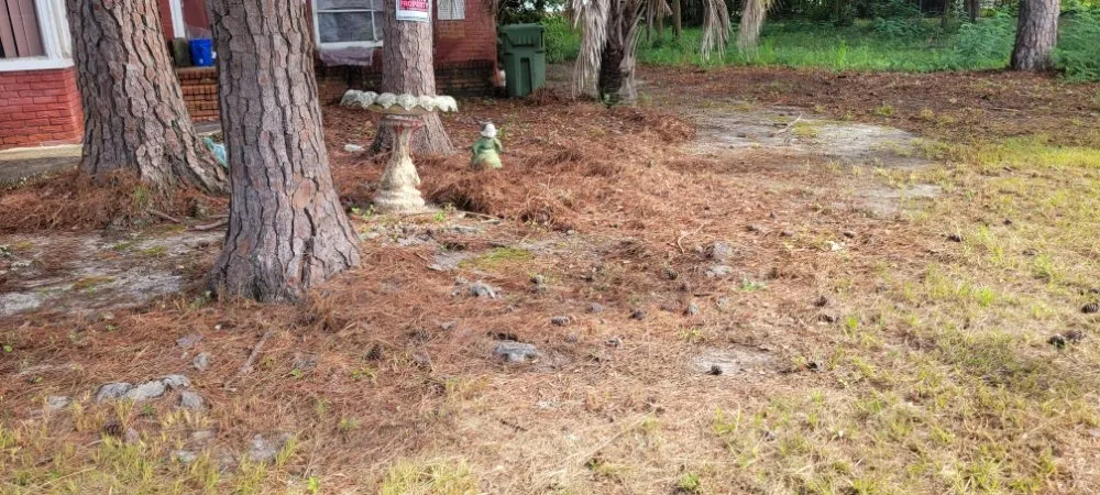 Local lawn care service in Florence, SC by Solo's Lawncare Service