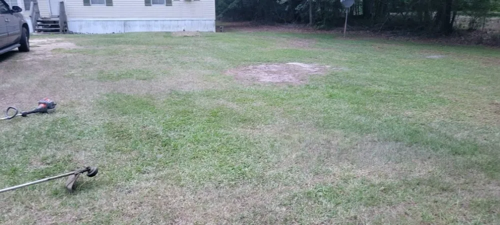 Expert landscaping services for year-round maintenance across Florence, SC - Solo's Lawncare Service