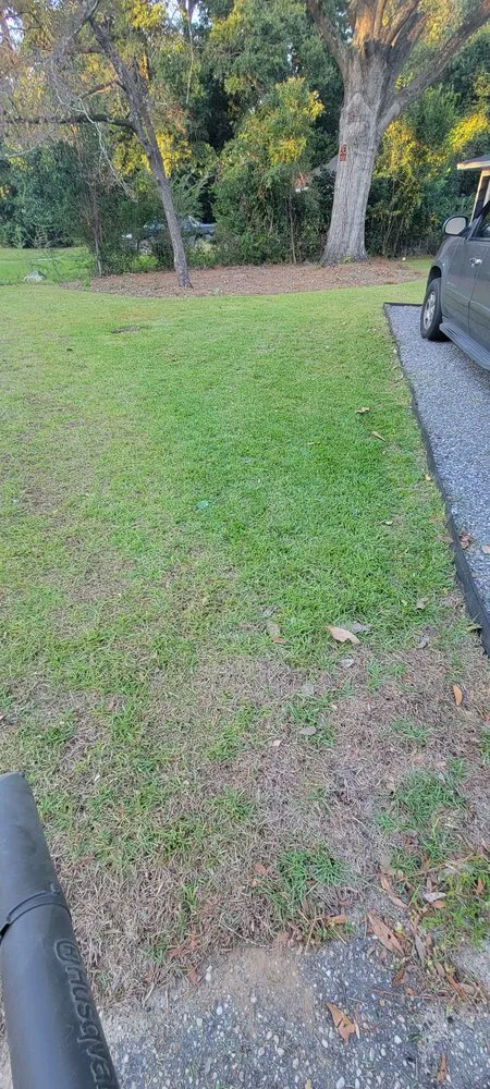 Affordable landscape design experts serving Florence, SC - Solo's Lawncare Service