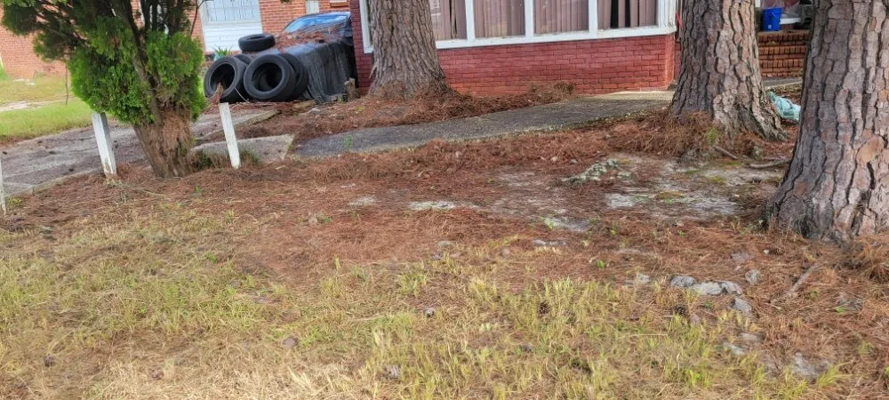 Reliable lawn mowing service in Florence, SC by Solo's Lawncare Service