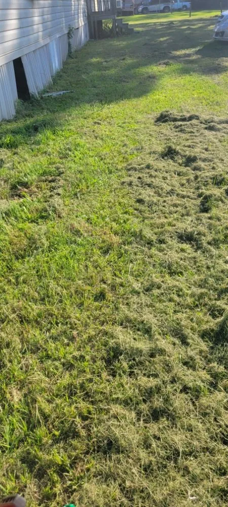 Local yard maintenance in Florence, SC - Solo's Lawncare Service