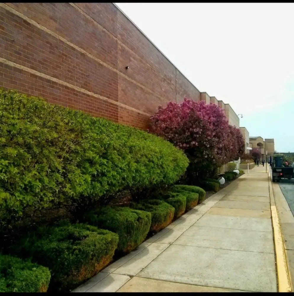 Custom lawn mowing service experts serving Hammond, IN - Solstice Enterprise