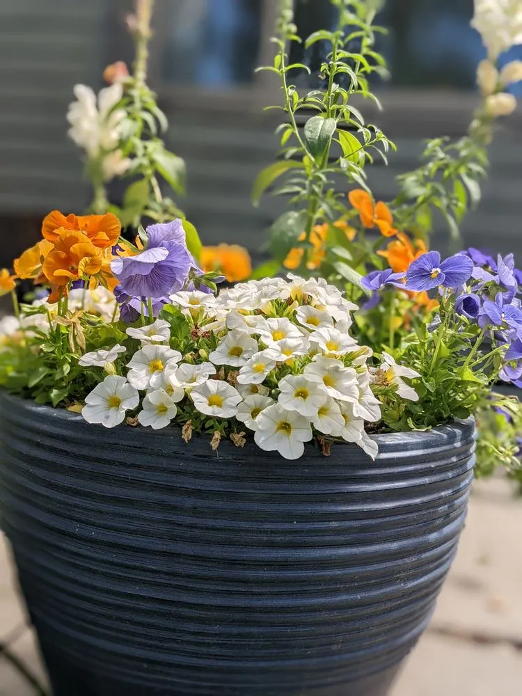 Expert outdoor landscaping in Bozeman, MT by Solstice Landscaping