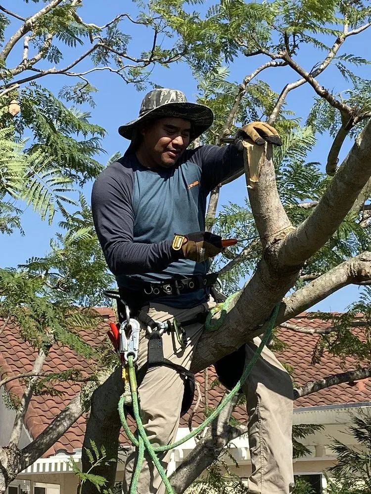 Trusted landscape design experts serving Oceanside, CA - Solstice Landscaping