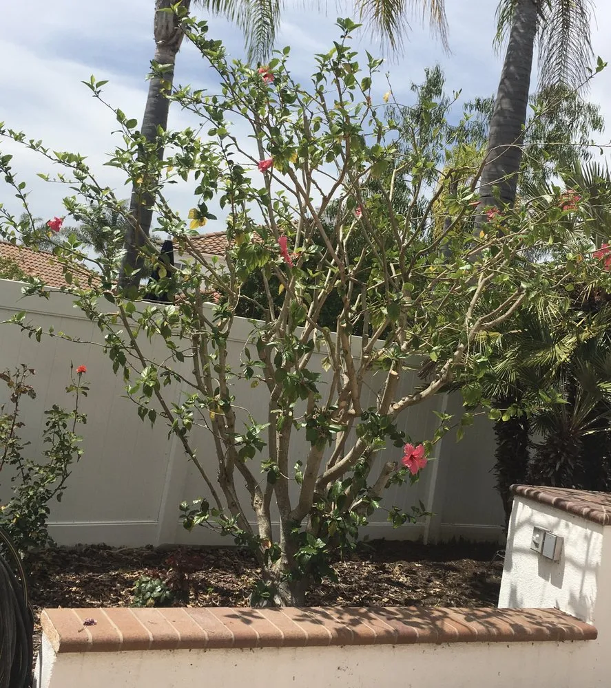 Trusted landscape installation experts serving Oceanside, CA - Solstice Landscaping