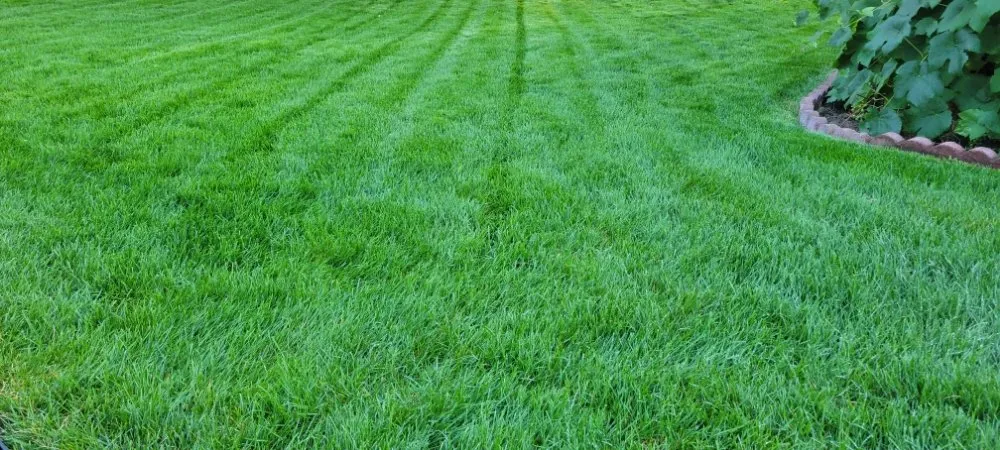 Top-rated landscape design experts serving Kaysville, UT - Solstice Sprinkler and Landscaping