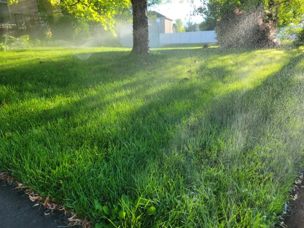 Custom yard maintenance in Kaysville, UT by Solstice Sprinkler and Landscaping