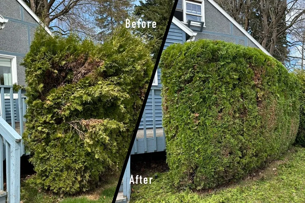 Expert landscape installation experts serving Hayden, ID - SolTerra