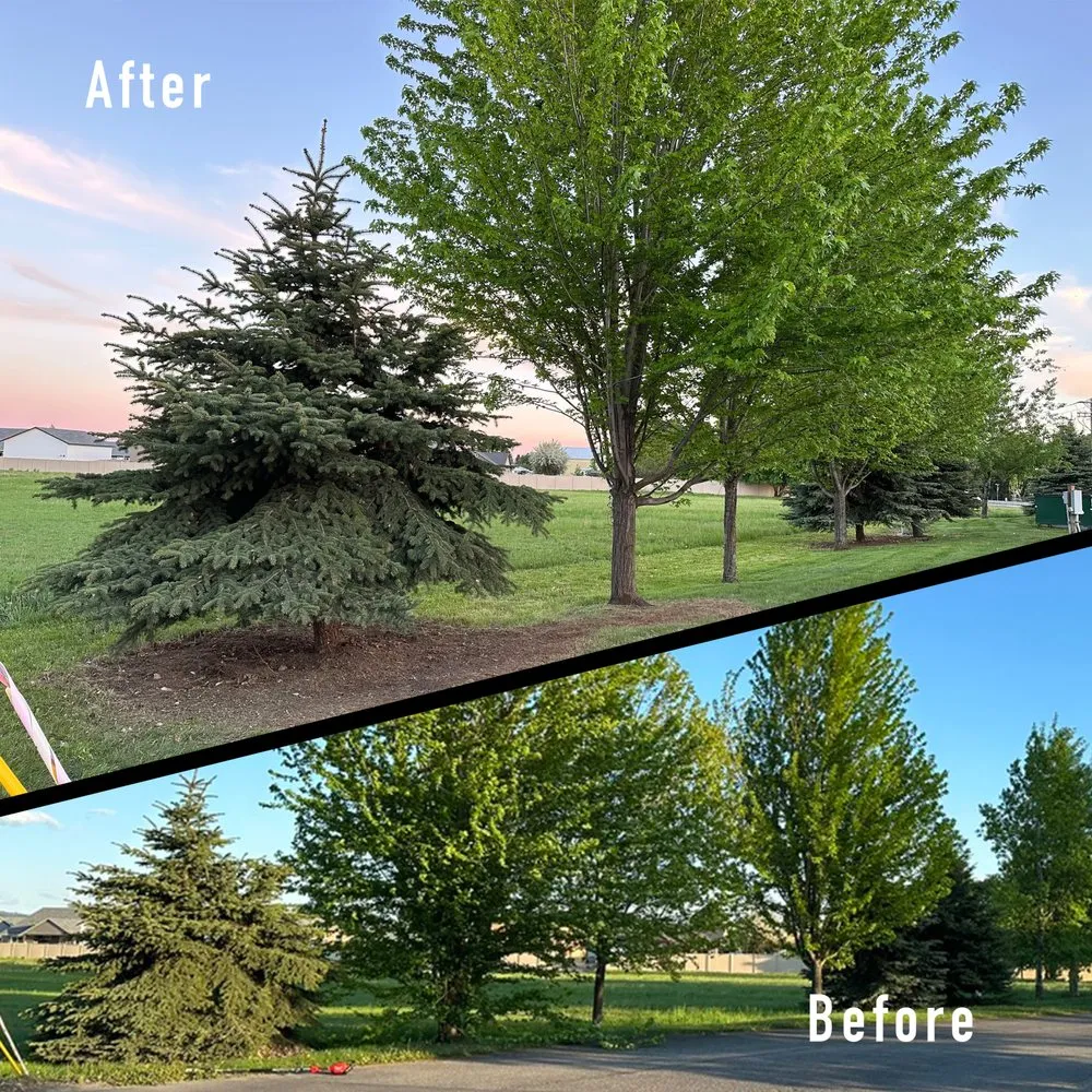 Reliable garden landscaping experts serving Hayden, ID - SolTerra