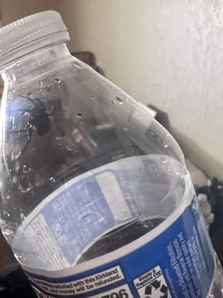 Local landscape design in Draper, UT - SolTerra Lawn & Pest