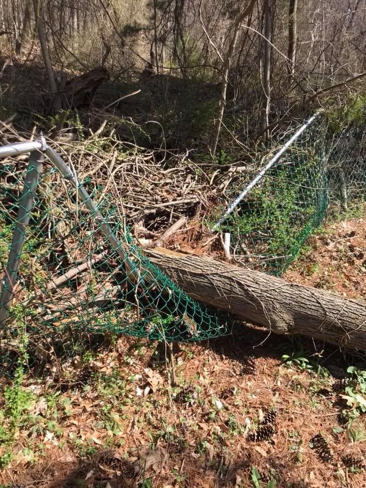 Affordable landscape design in Lehighton, PA - Solt’s Services