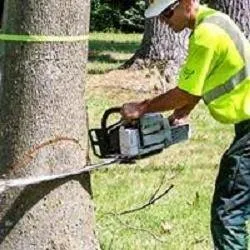 Top-rated landscape design in Lehighton, PA by Solt’s Services