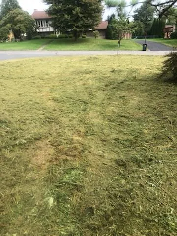 Local residential landscaping for homes across Lehighton, PA - Solt’s Services