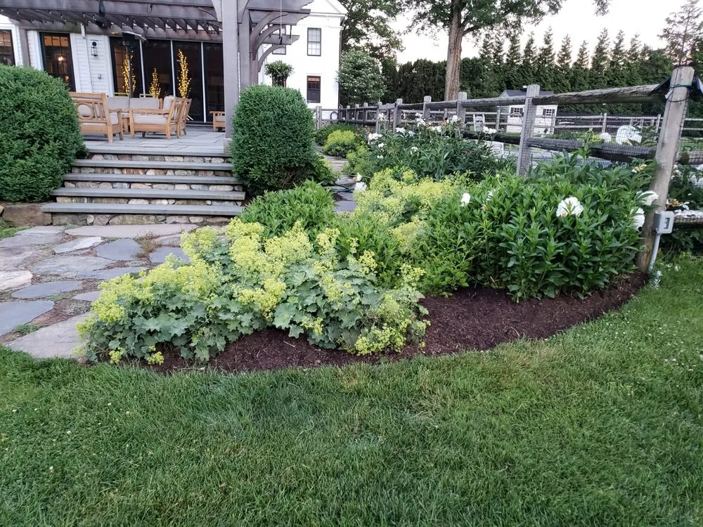 Professional landscape design near you in Marlborough, MA by Solution Driven Landscaping