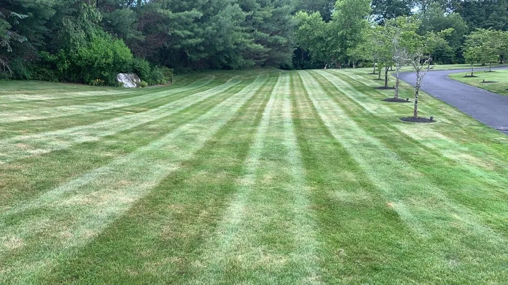 Expert yard cleanup service in Marlborough, MA - Solution Driven Landscaping