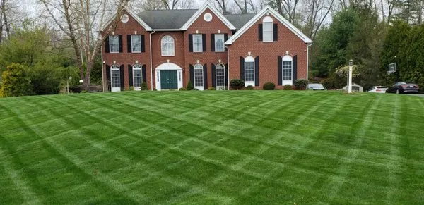 Solution Driven Landscaping Logo