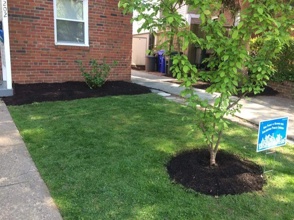 Professional outdoor landscaping in Woodbridge, VA - Solution lands