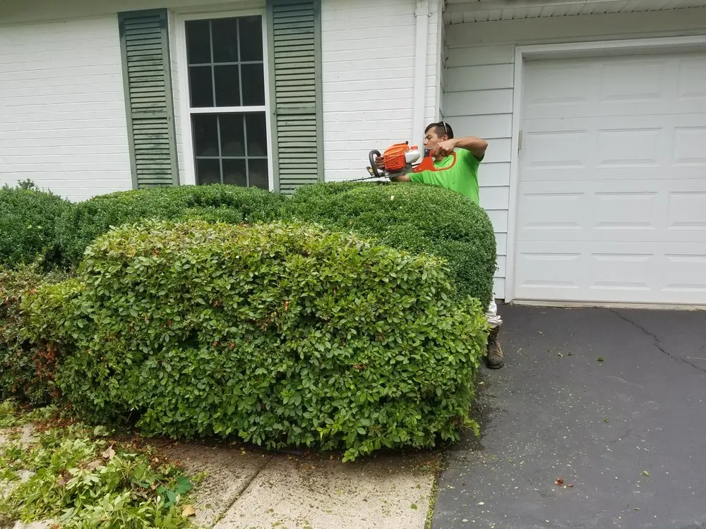 Trusted lawn mowing service in Woodbridge, VA - Solution lands