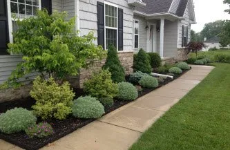 Reliable lawn care service with custom design in Woodbridge, VA by Solution lands