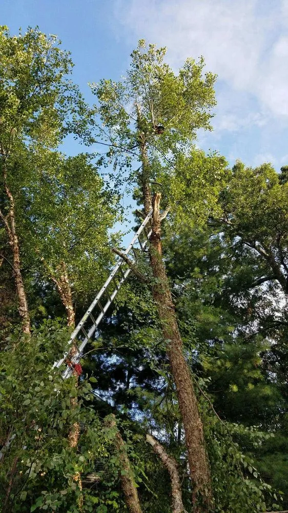 Custom outdoor landscaping with custom design in Woodbridge, VA by Solution lands