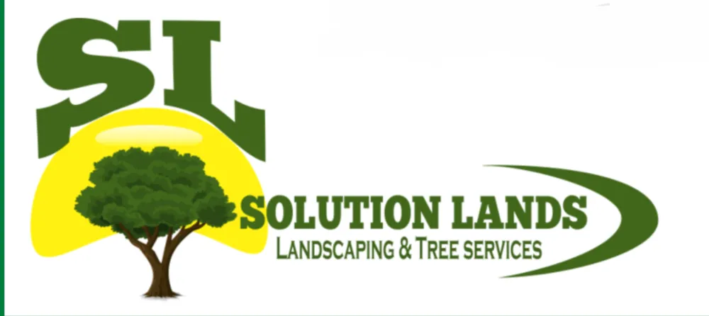 Trusted yard cleanup service experts serving Woodbridge, VA - Solution lands