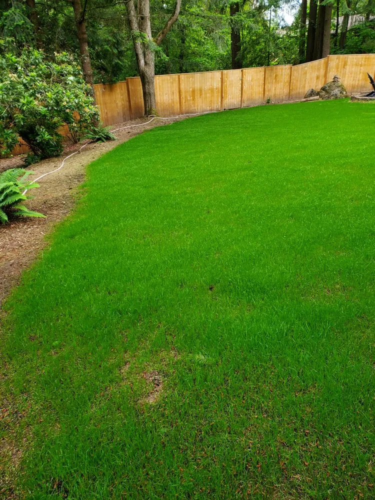 Local yard cleanup service for residential properties across Beaverton, OR - Solution Landscape Maintenance