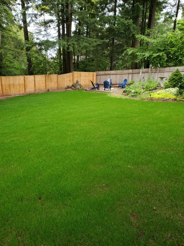Top-rated yard cleanup service experts serving Beaverton, OR - Solution Landscape Maintenance