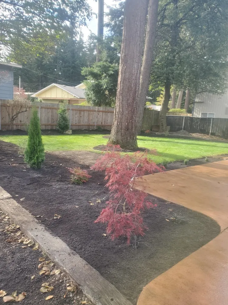 Expert yard cleanup service in Beaverton, OR - Solution Landscape Maintenance