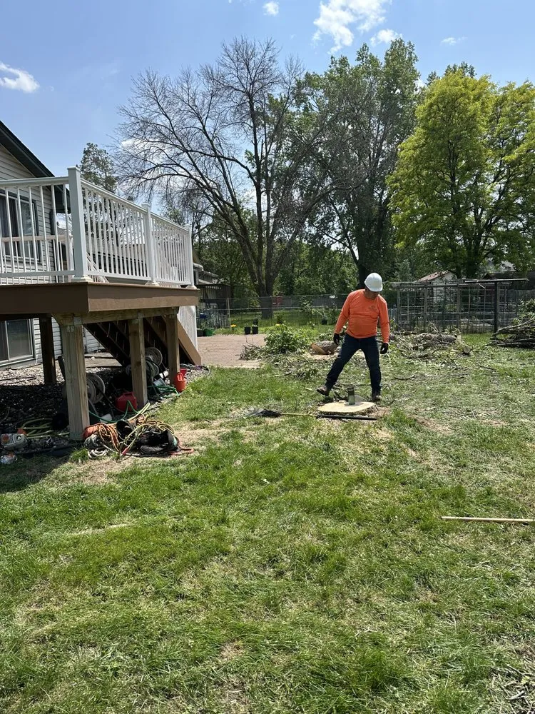 Trusted lawn mowing service experts serving Brooklyn Park, MN - Solutions JF Landscaping & Tree Services