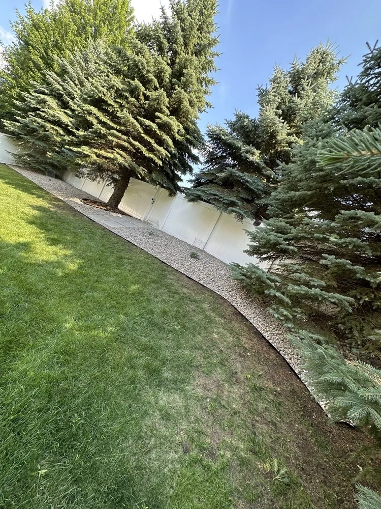 Top-rated yard cleanup service experts serving Brooklyn Park, MN - Solutions JF Landscaping & Tree Services