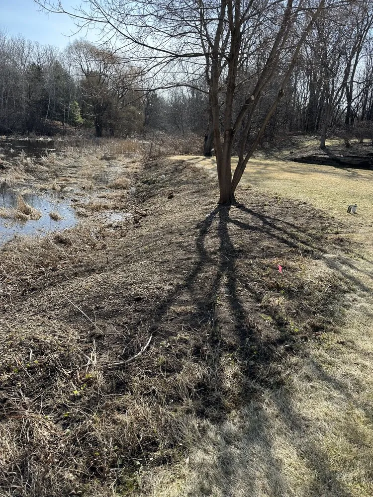 Reliable lawn care service in Brooklyn Park, MN by Solutions JF Landscaping & Tree Services