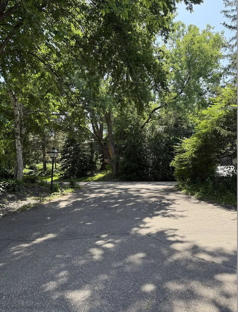 Local yard cleanup service in Brooklyn Park, MN by Solutions JF Landscaping & Tree Services