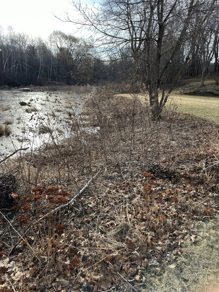 Professional residential landscaping in Brooklyn Park, MN by Solutions JF Landscaping & Tree Services