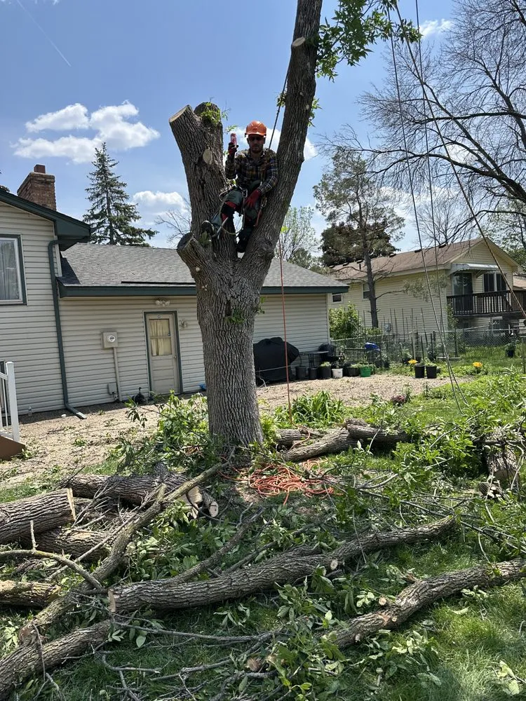 Trusted yard cleanup service in Brooklyn Park, MN - Solutions JF Landscaping & Tree Services