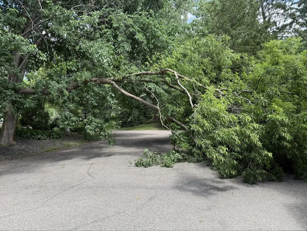 Top-rated garden landscaping in Brooklyn Park, MN - Solutions JF Landscaping & Tree Services