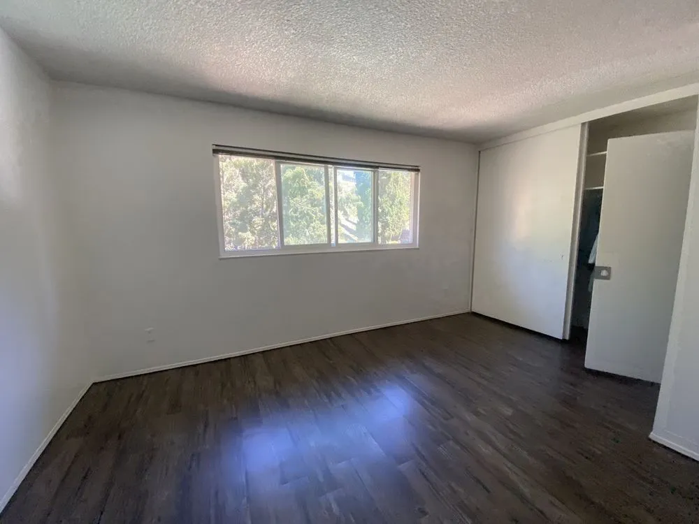 Custom landscape design in La Mesa, CA by Solutions Unlimited Handyman Services