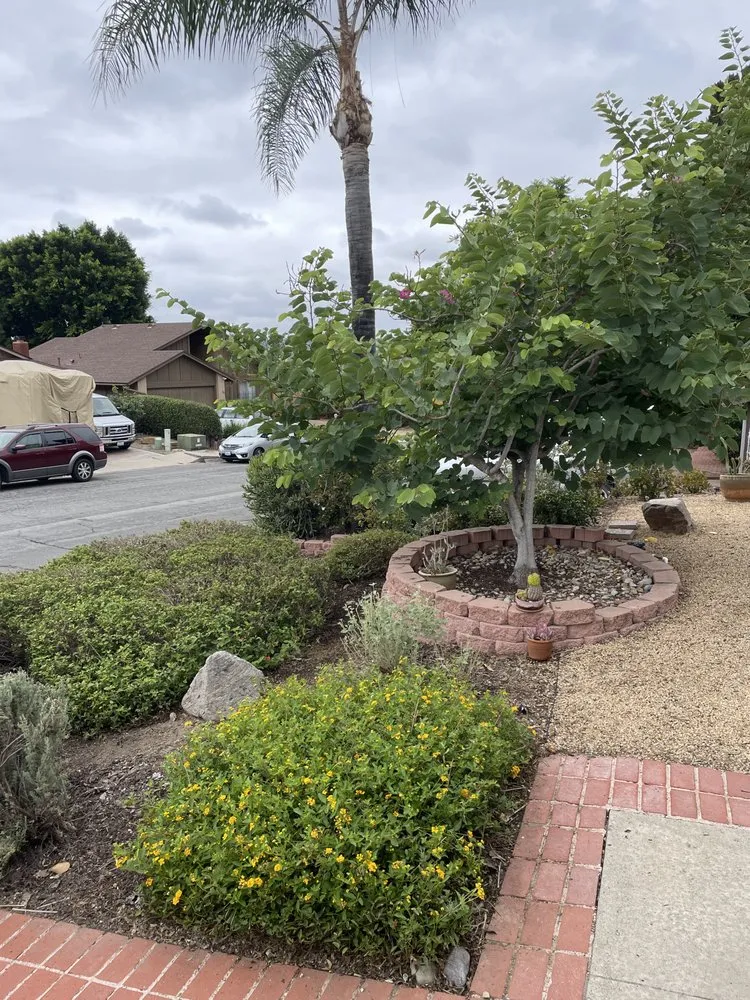 Trusted lawn care service in La Mesa, CA by Solutions Unlimited Handyman Services