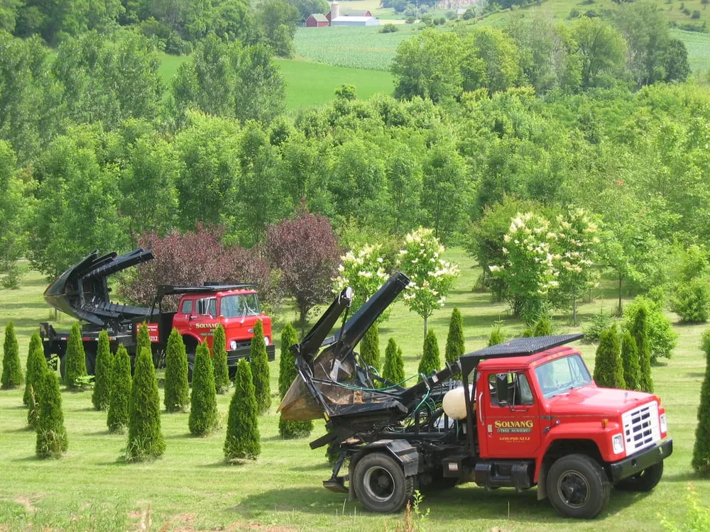 Custom garden landscaping for homes in Cross Plains, WI by Solvang Tree Nursery