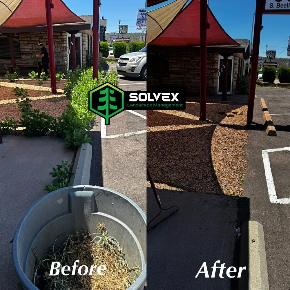 Professional landscaping services in Payson, AZ by Solvex Landscape Management