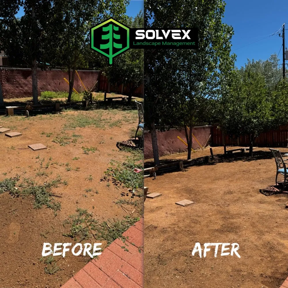 Affordable garden landscaping in Payson, AZ by Solvex Landscape Management