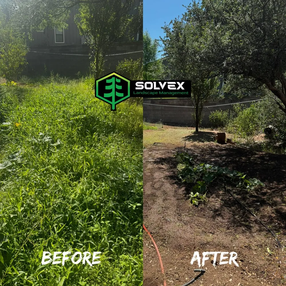Custom yard maintenance experts serving Payson, AZ - Solvex Landscape Management
