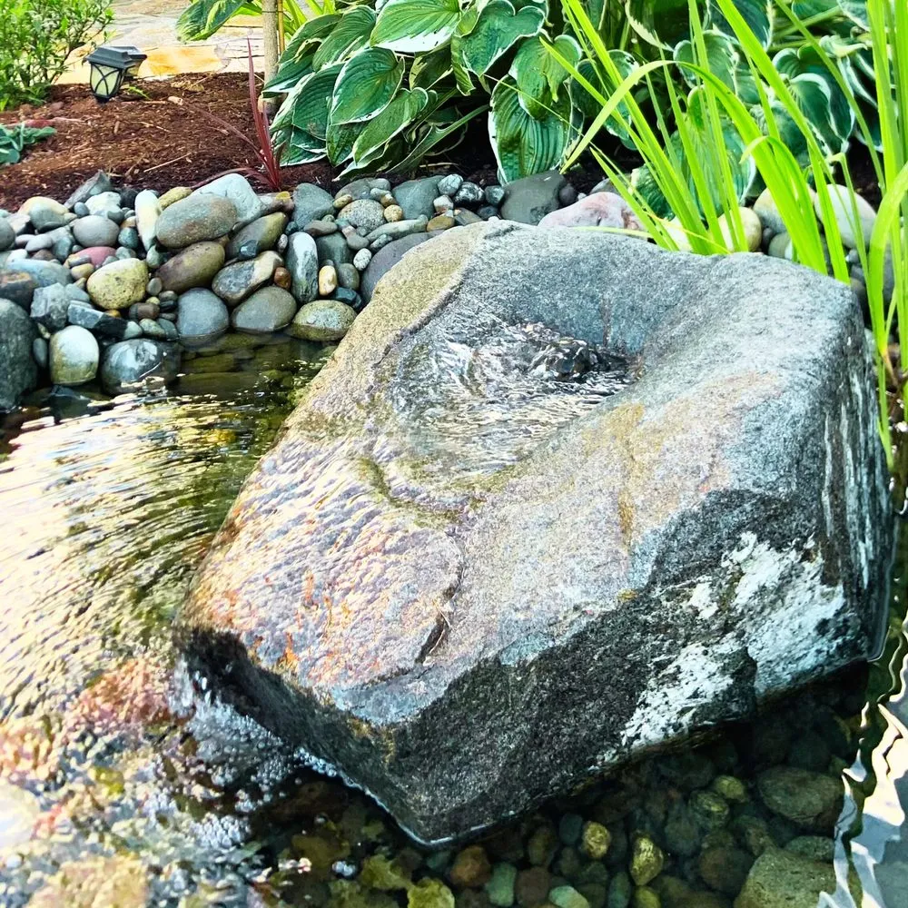 Trusted landscaping services for beautiful yards across Olympia, WA - Solvida Irrigation & Landscapes