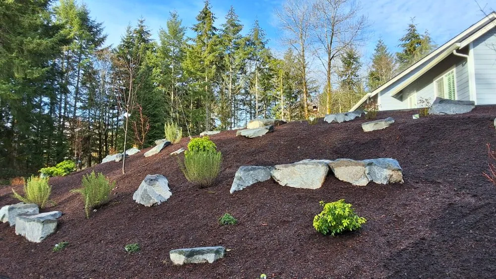 Reliable landscape installation in Olympia, WA - Solvida Irrigation & Landscapes