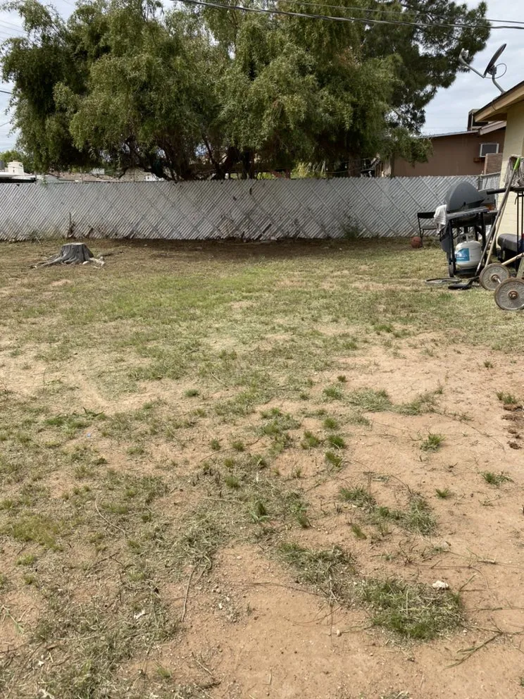 Trusted outdoor landscaping for beautiful yards across Mesa, AZ - SolVista Landscape