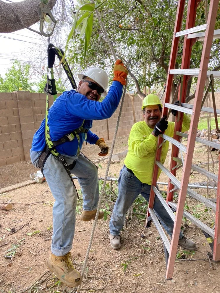 Custom garden landscaping for beautiful yards in Mesa, AZ by SolVista Landscape