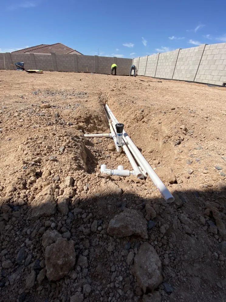 Affordable residential landscaping for beautiful yards in Mesa, AZ by SolVista Landscape