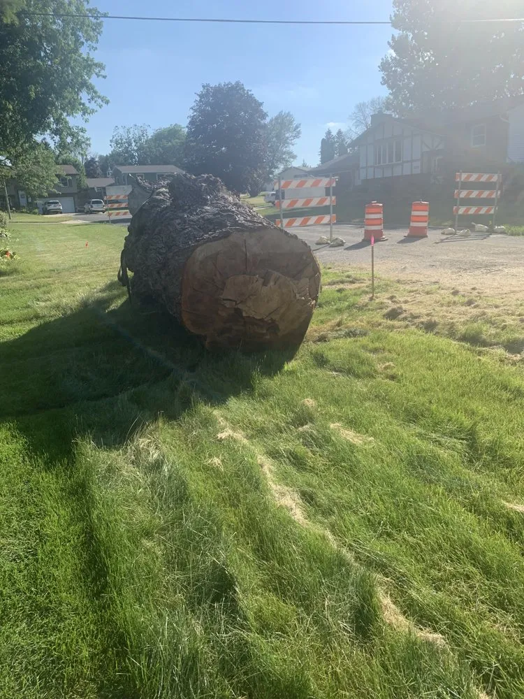 Professional yard cleanup service experts serving Eyota, MN - Soma Services