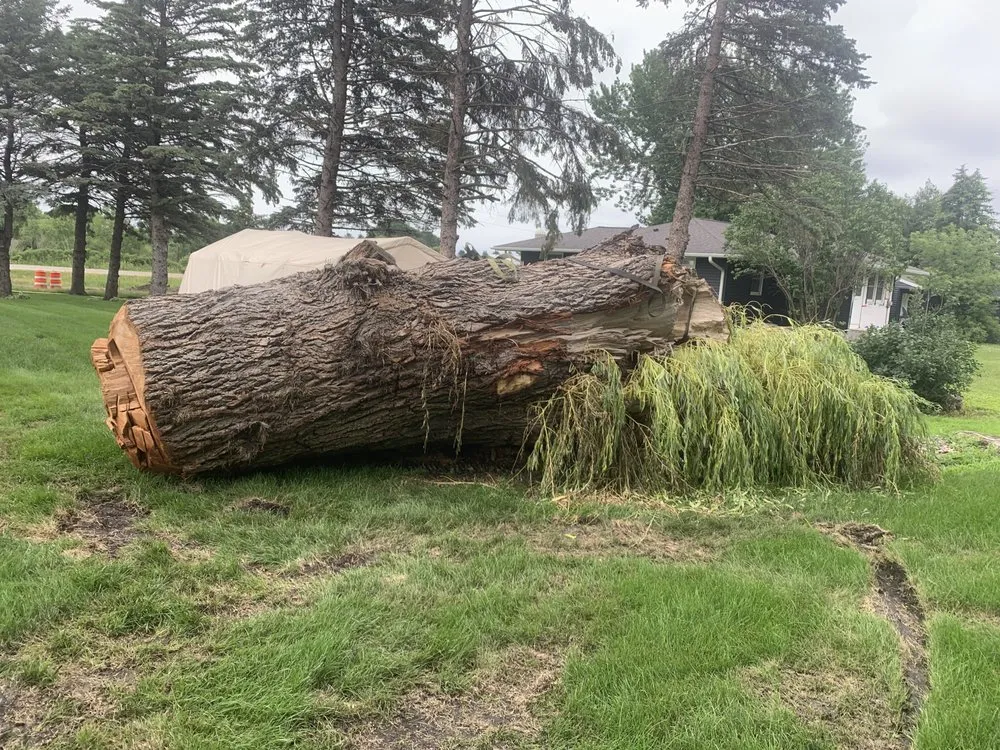 Reliable lawn mowing service for year-round maintenance in Eyota, MN by Soma Services